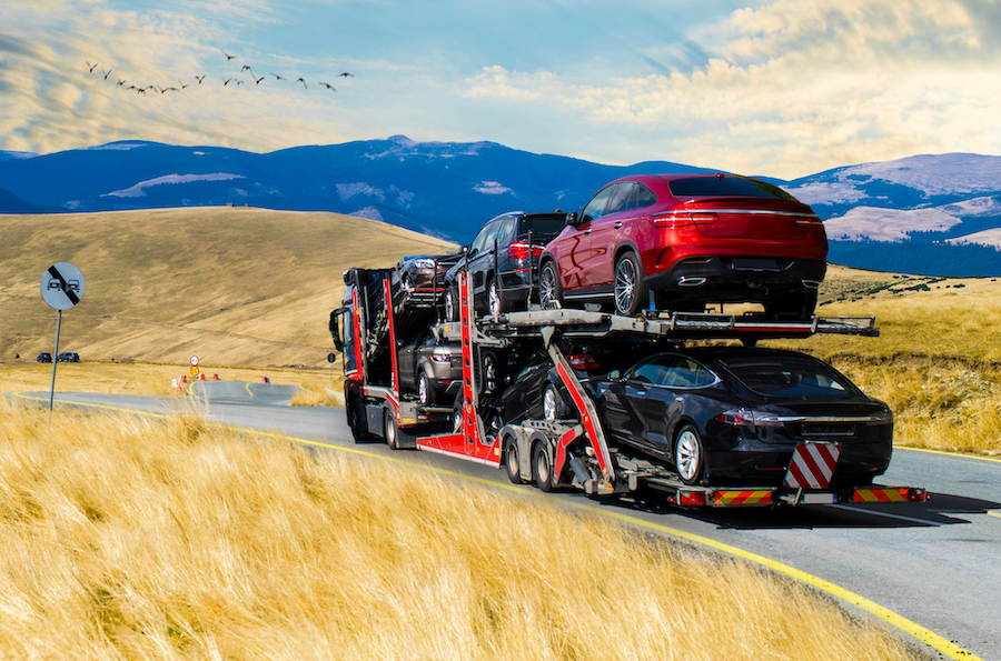 try to find best car shipping services