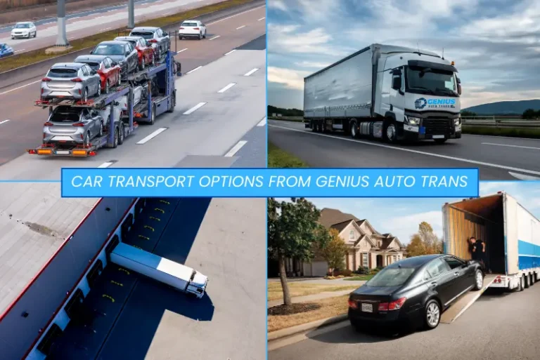 Car Transport Options from Genius Auto Trans 7 Car Transport Options from Genius Auto Trans